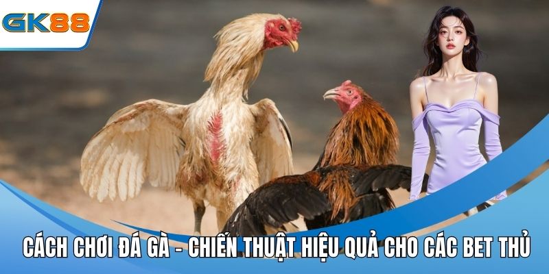 Cách chơi đá gà