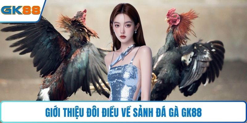 Giới thiệu đôi điều về sảnh đá gà GK88